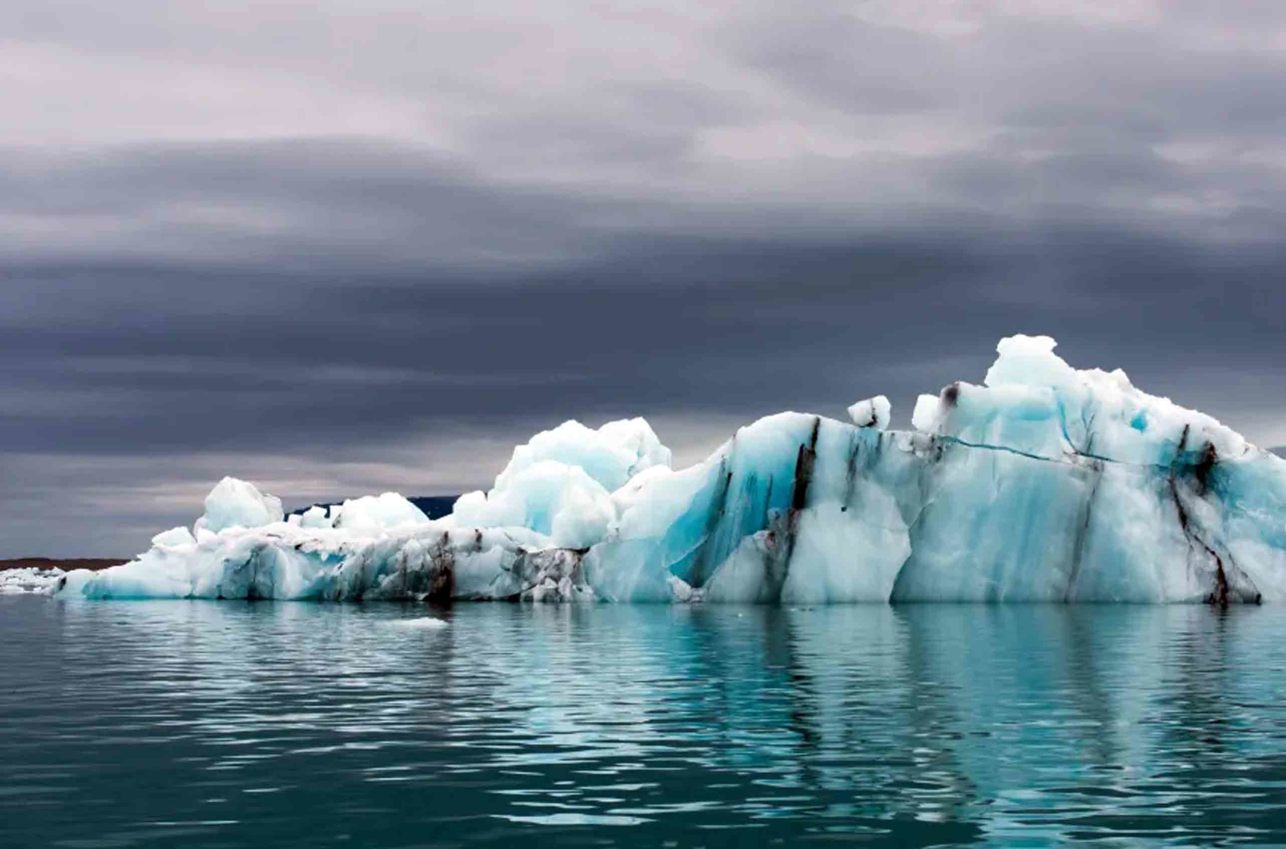 Twelve Day Wild Life Watching Trip to Antarctica